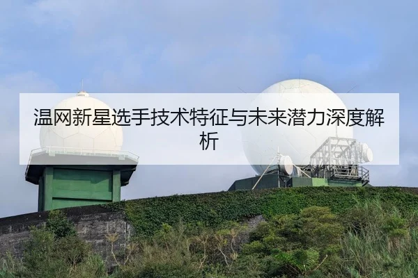 温网新星选手技术特征与未来潜力深度解析